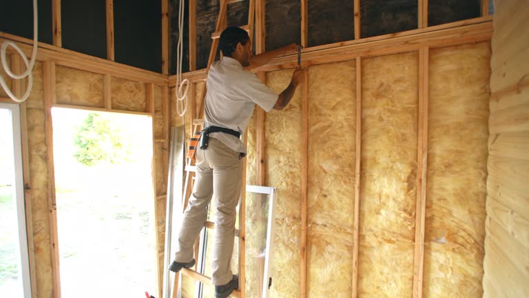 Best Soundproof Insulation  in Perezville, TX